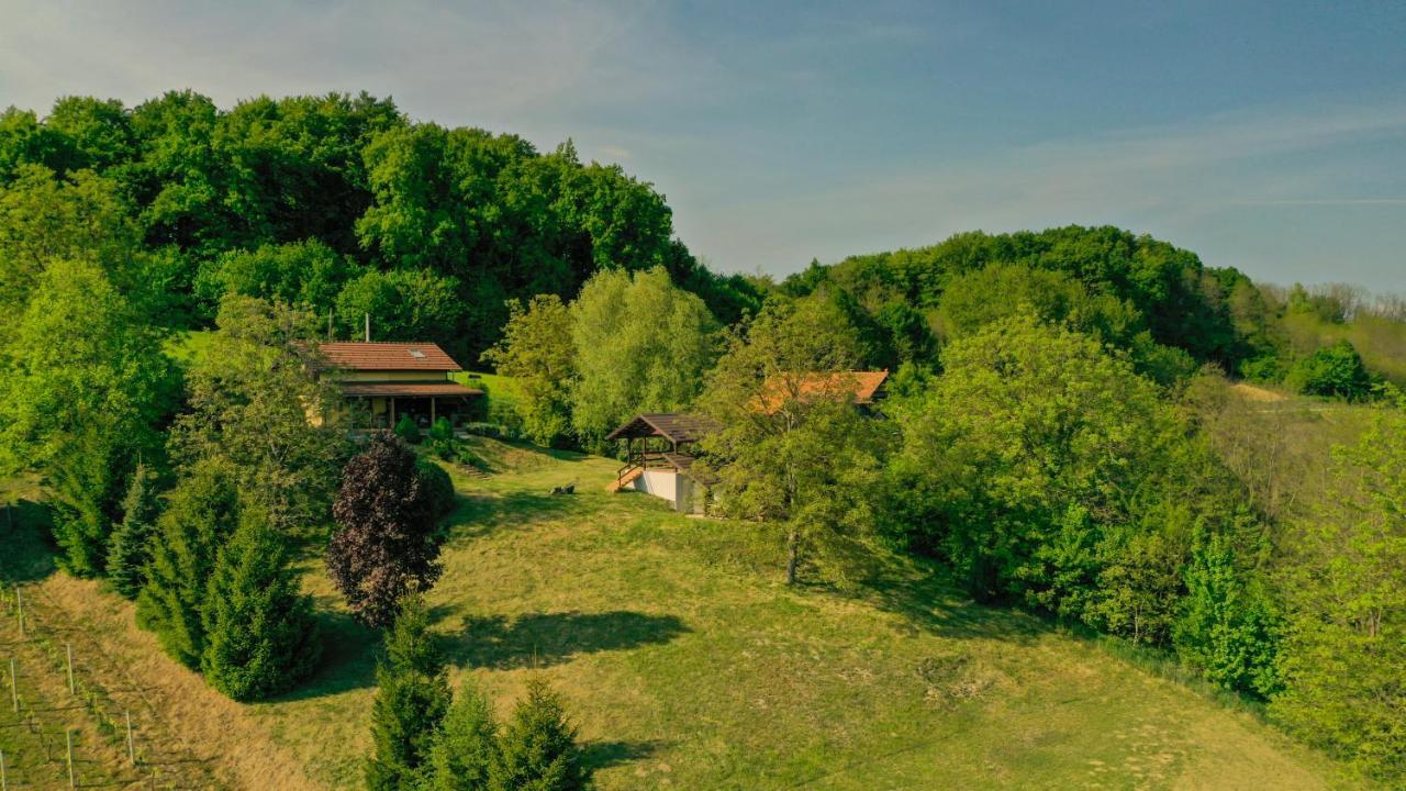 Green Hills Cottage In Zagorje With Magnificent View Ravnice-Desinicke Kültér fotó