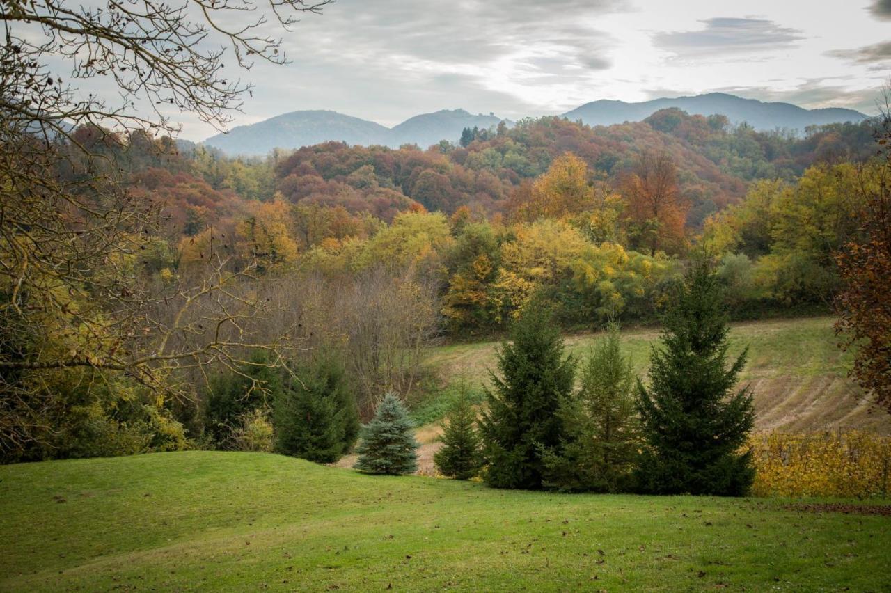 Green Hills Cottage In Zagorje With Magnificent View Ravnice-Desinicke Kültér fotó